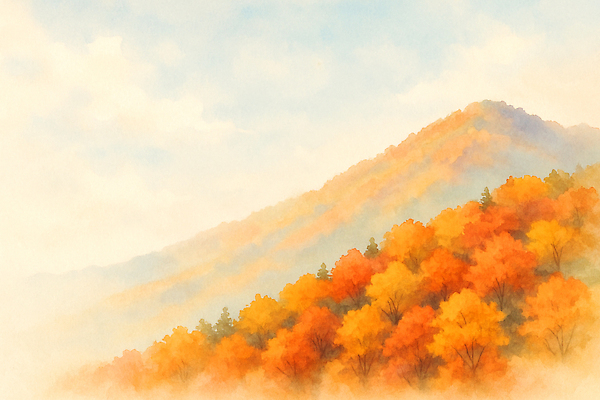 JPG 나무 계절 컬러 단풍 일러스트 자연 하늘 산 풍경 빨간색 햇빛 주황색 금색 가을 숲 조화 산기슭 뷰티풀 경관 국내일러스트 AI일러스트 AI콘텐츠 식물 잎 태양 생태계 파일형식