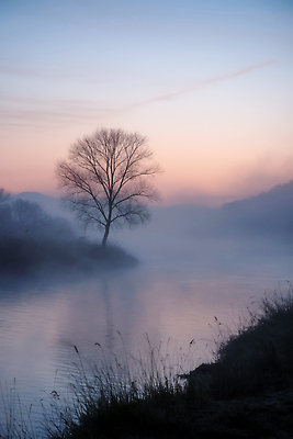 JPG 나무 편집이미지 겨울 자연 하늘 아침 수채화 풍경 강 햇빛 평화 환경 고요 안개 수면 편집실사 AI포토 AI콘텐츠 주간 식물 계절 컨셉 날씨 물 태양 CG 생태계 파일형식