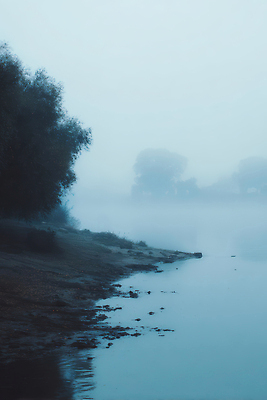 JPG 나무 편집이미지 실루엣 자연 아침 풍경 물 강 평화 고요 산책 안개 물가 주위 차분 편집실사 AI포토 AI콘텐츠 주간 자연요소 식물 컨셉 날씨 휴식 촬영기법 CG 생태계 파일형식