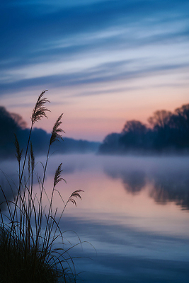 JPG 편집이미지 호수 분홍색 자연 하늘 아침 갈대 풍경 파란색 평화 일출 고요 안개 수면 숲 생태계 편집실사 AI포토 AI콘텐츠 주간 식물 컬러 컨셉 날씨 물 노을 CG 파일형식