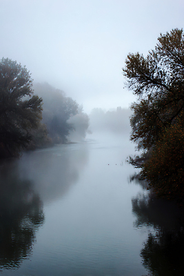 JPG 나무 편집이미지 여유 물결 자연 아침 풍경 일상 물 강 평화 고요 안개 수면 숲 뷰티풀 편집실사 AI포토 AI콘텐츠 주간 자연요소 식물 감정 컨셉 날씨 라이프 CG 생태계 파일형식