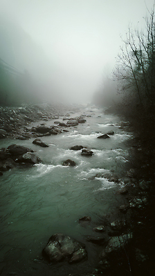 JPG 나무 편집이미지 자연 날씨 산 풍경 물 강 흐름 안개 바위 숲 신비 수로 조화 편집실사 AI포토 AI콘텐츠 자연요소 식물 컨셉 돌_바위 CG 생태계 파일형식