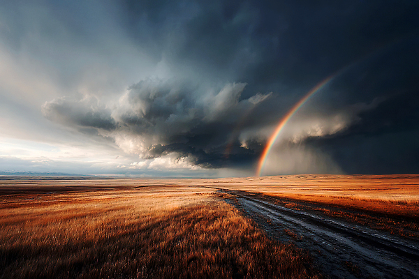 JPG 구름 편집이미지 길 무지개 자연 하늘 날씨 풍경 태양 비 땅 빗물 평원 이미지편집 AI포토 AI콘텐츠 자연요소 비_날씨 생태계 파일형식