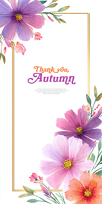 JPG 디자인 꽃 감정 예술 분홍색 컬러 백그라운드 프로포즈 일러스트 자연 문구용품 수채화 장식 가을 표현 추억 코스모스 감사 감성 뷰티풀 생동감 국내일러스트 AI일러스트 AI콘텐츠 식물 계절 컨셉 오브젝트 생태계 파일형식