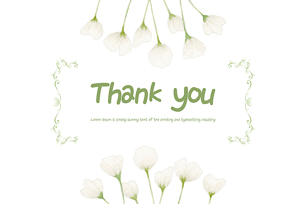 PSD 식물 디자인 꽃 예술 컬러 백그라운드 일러스트 자연 그래픽 장식 표현 메시지 우아함 편지 감사 심플 감성 뷰티풀 소프트 국내일러스트 카드프레임 감정 컨셉 프레임 생태계 파일형식