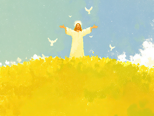 JPG 동물 감정 예술 상징 꽃밭 일러스트 자연 하늘 팔벌리기 사람 풍경 노란색 평화 고요 기쁨 자유 표현 비둘기 뷰티풀 색감 국내일러스트 AI일러스트 AI콘텐츠 꽃 컬러 컨셉 모션 조류 생태계 파일형식