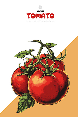 PSD 식물 농업 토마토 채소 과일 일러스트 자연 식탁 가지 요리 빨간색 농작물 농장 정원 수확 신선 빈티지 그림 색감 국내일러스트 산업 컬러 컨셉 탁자 생태계 파일형식