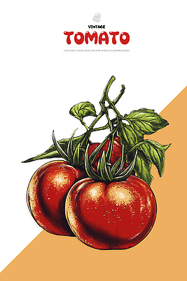 PSD 식물 디자인 음식 컬러 농업 토마토 채소 일러스트 자연 건강 초록색 여름 농작물 노란색 농사 신선 빈티지 그림 원예 국내일러스트 계절 산업 컨셉 취미 생태계 파일형식