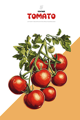 PSD 식물 디자인 농업 토마토 채소 과일 일러스트 자연 가지 건강 빨간색 여름 수확 유기농 국산 색감 정물화 국내일러스트 웰빙 계절 산업 컬러 그림 생태계 파일형식