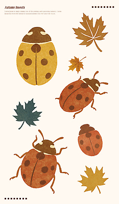 모양 PSD 디자인 예술 컬러 곤충 패턴 일러스트 자연 생명 나뭇잎 농작물 귀여움 환경 가을 생태 라인아트 심플 뷰티풀 벡터 국내일러스트 동물 계절 선 컨셉 잎 무늬 농업 생태계 파일형식