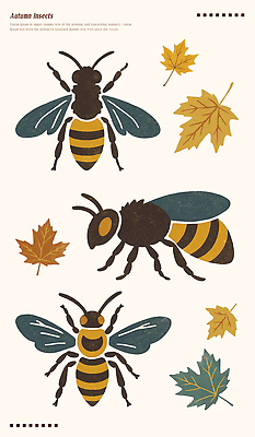 PSD 디자인 계절 예술 컬러 곤충 백그라운드 일러스트 자연 생명 나뭇잎 따뜻함 초록색 갈색 금색 가을 생태 벌 그림 조화 국내일러스트 동물 잎 생태계 파일형식