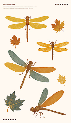 PSD 식물 디자인 계절 예술 컬러 곤충 패턴 일러스트 자연 생명 나뭇잎 생물 장식 환경 가을 비행 생태 그림 조화 특징 국내일러스트 동물 잎 무늬 생태계 파일형식