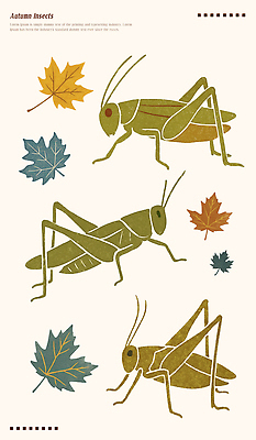 PSD 식물 디자인 예술 곤충 단풍 일러스트 자연 나뭇잎 생물 그래픽 환경 가을 생태 색감 창의성 국내일러스트 동물 계절 잎 생태계 파일형식