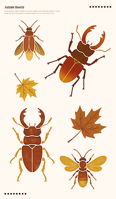 모양 PSD 식물 동물 디자인 컬러 과학 곤충 일러스트 자연 나뭇잎 생물 실험 환경 가을 관찰 전문직 생태 국내일러스트 직업 계절 잎 모션 생태계 파일형식