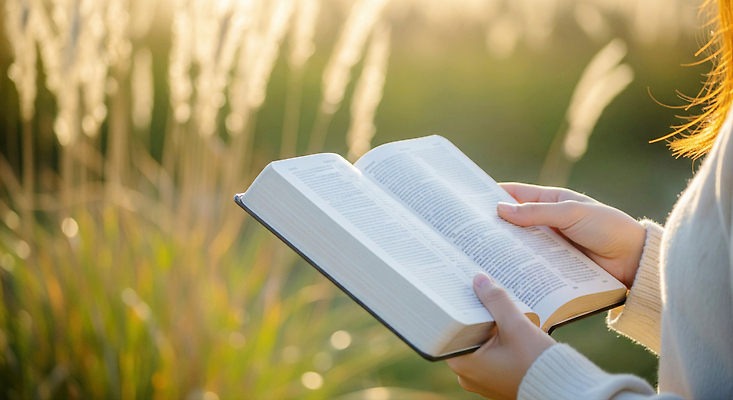 JPG 편집이미지 손 여유 자연 한명 초원 책 독서 햇빛 평화 소리 시간 즐거움 뷰티풀 좋은날 텃밭 의료성형뷰티 편집실사 AI인물포토 AI콘텐츠 1 감정 컨셉 밭 사람 신체부위 태양 CG 생태계 파일형식 AI포토