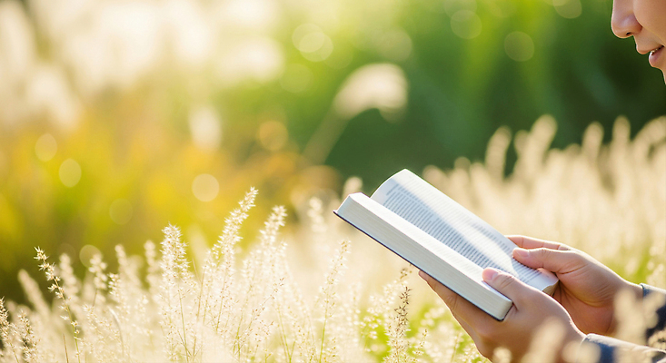 JPG 편집이미지 손 여유 자연 바람 사람 풍경 초원 책 초록색 독서 햇빛 편안함 집중 오후 의료성형뷰티 편집실사 AI인물포토 AI콘텐츠 자연요소 감정 컬러 컨셉 날씨 신체부위 태양 감각 CG 생태계 파일형식 AI포토