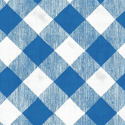 JPG 디자인 컬러 백그라운드 패턴 일러스트 자연 식탁 바닥 장식 파란색 인테리어 소풍 흰색 직물 분위기 편안함 천 오브젝트 격자 텍스타일 국내일러스트 AI일러스트 AI콘텐츠 컨셉 무늬 탁자 야외활동 감각 공예 생태계 파일형식