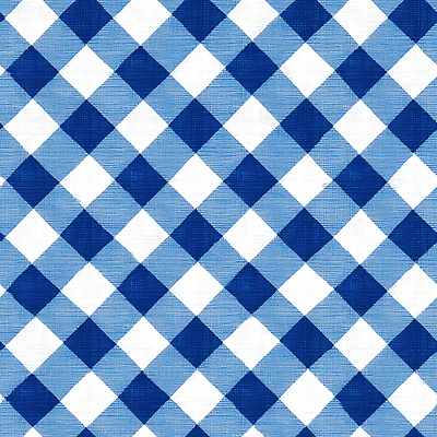 JPG 디자인 일러스트 탁자 생활 장식 파란색 인테리어 소풍 흰색 고급 상차림 오브젝트 체크무늬 조화 다과 습관 패브릭 스타일 반복 아기자기 국내일러스트 AI일러스트 AI콘텐츠 컬러 가구 컨셉 무늬 디저트 야외활동 직물 파일형식