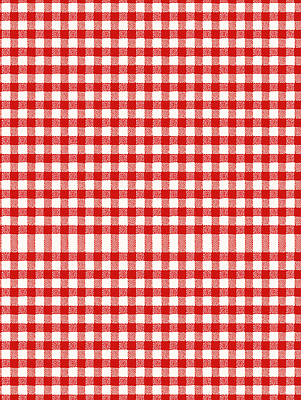 JPG 디자인 패턴 일러스트 가정 가족 식탁 일상 빨간색 소풍 식사 매트 식탁보 흰색 직물 상차림 프레젠테이션 체크무늬 국내일러스트 AI일러스트 AI콘텐츠 컬러 무늬 관계 탁자 라이프 야외활동 파일형식