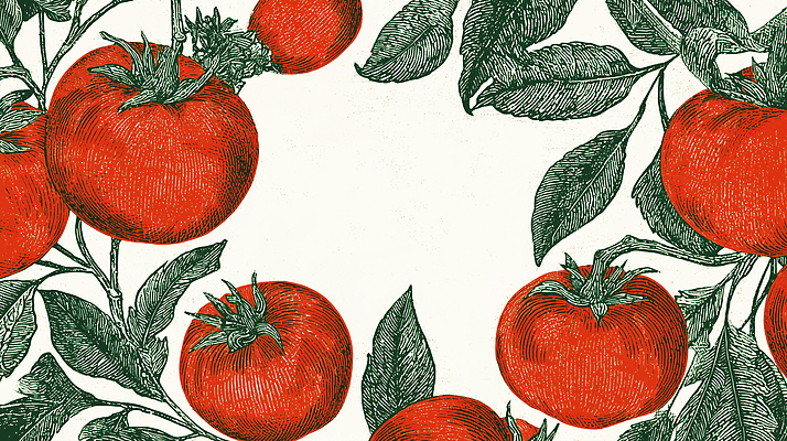 JPG 식물 예술 음식 잎 농업 토마토 채소 일러스트 자연 건강 빨간색 정원 농사 신선 유기농 비타민 뷰티풀 색감 국내일러스트 AI일러스트 AI콘텐츠 웰빙 산업 컬러 생태계 영양소 파일형식