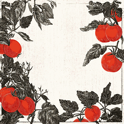 JPG 나무 식물 음식 농업 토마토 채소 일러스트 자연 빨간색 초록색 여름 농작물 정원 농사 수확 에코 유기농 원예 비타민 국내일러스트 AI일러스트 AI콘텐츠 웰빙 계절 산업 컬러 취미 환경 생태계 영양소 파일형식