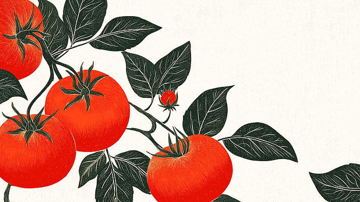 JPG 식물 계절 잎 토마토 채소 일러스트 자연 건강 요리 빨간색 초록색 농장 정원 농사 식사 수확 신선 유기농 원예 뷰티풀 국내일러스트 AI일러스트 AI콘텐츠 영양군 웰빙 컬러 농업 취미 경상북도 생태계 파일형식