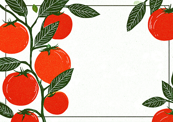 JPG 식물 디자인 백그라운드 잎 토마토 채소 과일 일러스트 자연 그래픽 빨간색 농작물 수확 성장 신선 유기농 식물원 색감 국내일러스트 AI일러스트 AI콘텐츠 웰빙 컬러 농업 생태계 파일형식