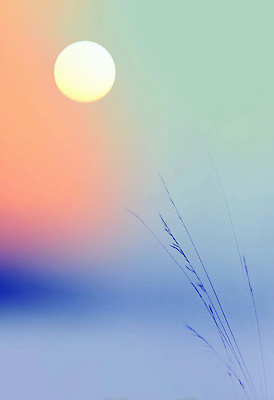 JPG 실루엣 여유 컬러 일러스트 자연 하늘 바람 한옥 풍경 태양 반사 평화 노을 일몰 저녁 조화 뷰티풀 접착풀 차분 국내일러스트 AI일러스트 AI콘텐츠 자연요소 한국전통 감정 컨셉 고건축 날씨 문구용품 촬영기법 풀_접착제 야간 생태계 파일형식