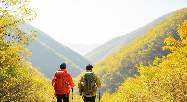 JPG 편집이미지 여행 자연 산 풍경 야외 초록색 운동 햇빛 산책 등산 하이킹 탐험 도전 가을 등산객 의료성형뷰티 편집실사 AI인물포토 AI콘텐츠 계절 컬러 레저 휴식 건강 태양 트래킹 CG 생태계 파일형식 AI포토