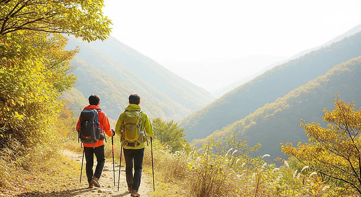 JPG 편집이미지 여행 자연 아침 산 풍경 두명 여름 친구 햇빛 야외활동 등산 하이킹 체험 산길 의료성형뷰티 편집실사 AI인물포토 AI콘텐츠 주간 계절 길 컨셉 관계 레저 사람 태양 트래킹 CG 생태계 파일형식 AI포토