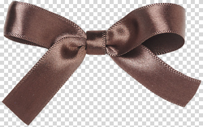 편집이미지 디자인 패션 리본 결혼식 선물 장식 갈색 파티 고급 질감 광택 수공예 PNG 꾸미기 헤어액세사리 컬러 결혼 컨셉 장신구 이벤트 공예 파일형식