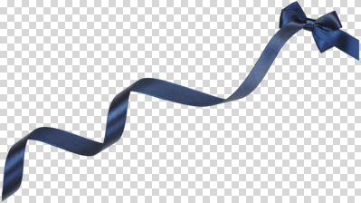 편집이미지 디자인 패션 리본 포장 선물 장식 소스 우아함 실크 수공예 PNG 텍스타일 풍요 컨셉 직물 양념 공예 파일형식