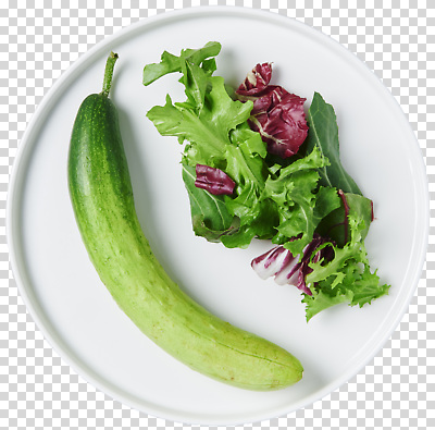 편집이미지 음식 다이어트 채소 오이 건강 식사 샐러드 상추 유기농 비타민 건강식 PNG 영양군 웰빙 경상북도 영양소 파일형식