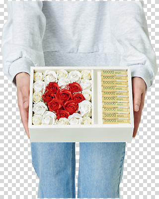 편집이미지 기념일 꽃 감정 돈 서양음식 선물 사랑 빨간색 상자 장미 흰색 예물 PNG 식물 음식 컬러 이벤트 재산 파일형식