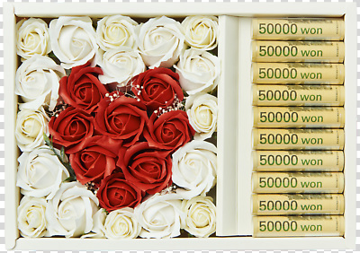 편집이미지 기념일 꽃 돈 선물 사랑 상자 장미 화환 기쁨 축하 오만원 PNG 뷰티풀 식물 감정 컨셉 지폐 이벤트 재산 파일형식