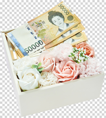 편집이미지 디자인 기념일 꽃 돈 선물 이벤트 장식 상자 축하 화려 조화 오만원 PNG 뷰티풀 식물 컨셉 지폐 재산 파일형식