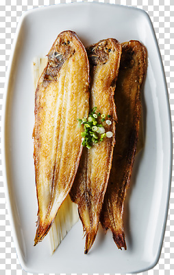 편집이미지 접시 한식 재료 어류 요리 식사 맛 저녁 구이 해산물 PNG 쪽파 식기 음식 컨셉 수중동물 야간 파 파일형식