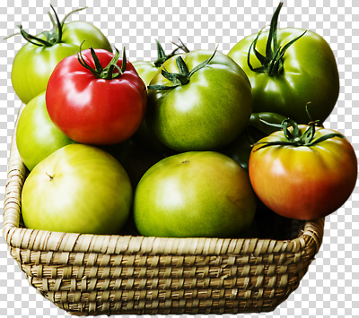 편집이미지 음식 토마토 채소 자연 건강 빨간색 초록색 여름 농작물 농장 바구니 농사 식사 신선 유기농 PNG 웰빙 계절 컬러 농업 생태계 파일형식