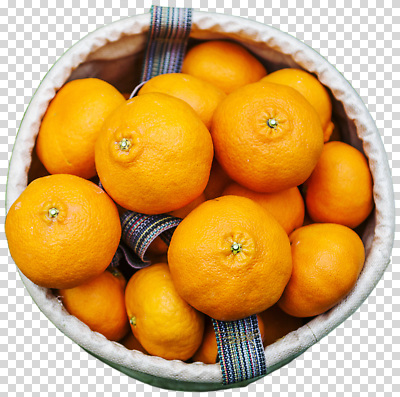 편집이미지 음식 컬러 과일 자연 서양음식 건강 농장 바구니 수확 신선 맛 저장 질감 상큼 PNG 컨셉 농업 생태계 파일형식