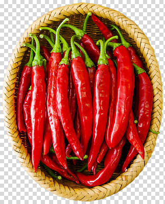 편집이미지 음식 채소 재료 자연 고추 조명 건강 요리 농작물 바구니 주방 식사 신선 맛 홍고추 PNG 컨셉 농업 생태계 파일형식