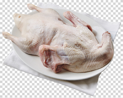 편집이미지 접시 한식 음식 재료 건강 요리 주방 식사 신선 준비 냉장고 PNG 생닭 식기 가전제품 닭 파일형식