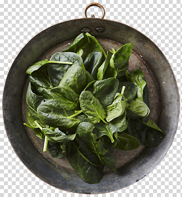 편집이미지 채소 식재료 자연 초록색 농작물 식사 샐러드 신선 유기농 시금치 건강식 PNG 먹거리 영양군 웰빙 음식 컬러 농업 경상북도 생태계 파일형식
