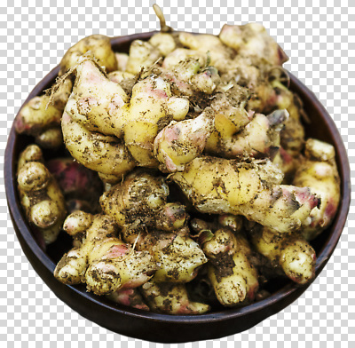 편집이미지 채소 식재료 자연 건강 농작물 흙 수확 신선 허브 향신료 생강 PNG 나무그릇 영양소 제철 식물 그릇 농업 목재 생태계 향미료 파일형식