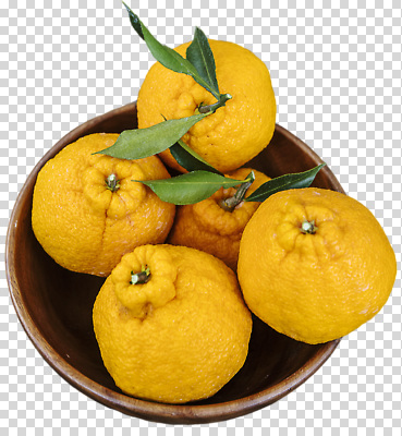 식물 편집이미지 컬러 잎 과일 자연 건강 여름 농작물 농사 신선 유기농 담기 PNG 나무그릇 밝은색 그릇 웰빙 계절 농업 모션 목재 생태계 파일형식