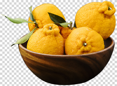 식물 편집이미지 음식 잎 과일 자연 디저트 귤 건강 주황색 식사 신선 달콤 원예 PNG 나무그릇 그릇 컬러 취미 목재 맛 생태계 파일형식