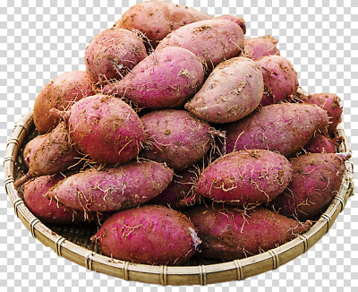 편집이미지 전통 사계절 음식 포장 자연 농작물 바구니 농사 흙 수확 신선 고구마 귀농 건강식 PNG 계절 농업 뿌리채소 생태계 파일형식