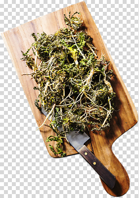 편집이미지 식재료 자연 건강 요리 식사 수확 칼 맛 허브 향 PNG 나무도마 제철 영양군 식물 컨셉 농업 도마 목재 경상북도 생태계 파일형식