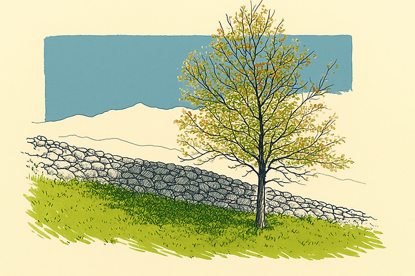 JPG 나무 식물 일러스트 자연 생명 휴식 돌담 풍경 초원 야외 초록색 햇빛 고요 봄 농촌 힐링 조화 뷰티풀 국내일러스트 AI일러스트 AI콘텐츠 계절 컬러 컨셉 담장 태양 돌_바위 시골 생태계 파일형식