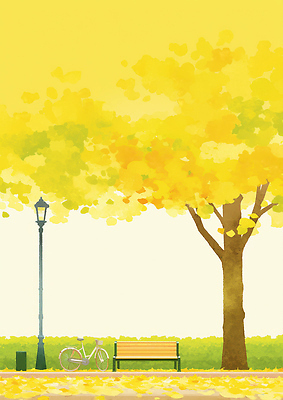 JPG 나무 공원 여유 단풍 벤치 일러스트 자연 휴식 풍경 햇빛 노란색 평화 가을풍경 자전거 산책 산책로 가을 시골 도시 조화 색감 국내일러스트 AI일러스트 AI콘텐츠 식물 계절 공공시설 감정 길 컬러 컨셉 잎 의자 태양 바이크 생태계 파일형식 가을_계절