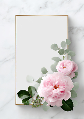 JPG 식물 편집이미지 꽃 분홍색 액자 잎 자연 장식 전시 테두리 모던 모란 뷰티풀 이미지편집 AI컴퓨터그래픽 AI콘텐츠 컬러 생태계 파일형식